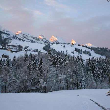 Chalet Chic Wildhaus Exterior photo